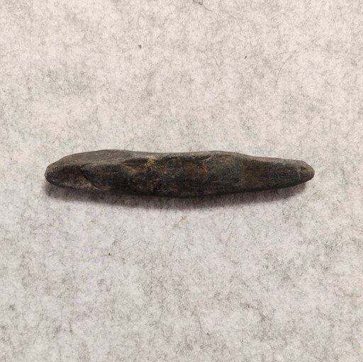 A long, skinny piece of (maybe shale?) that's been eroded partially smooth. It's approximately five inches long by one inch wide.